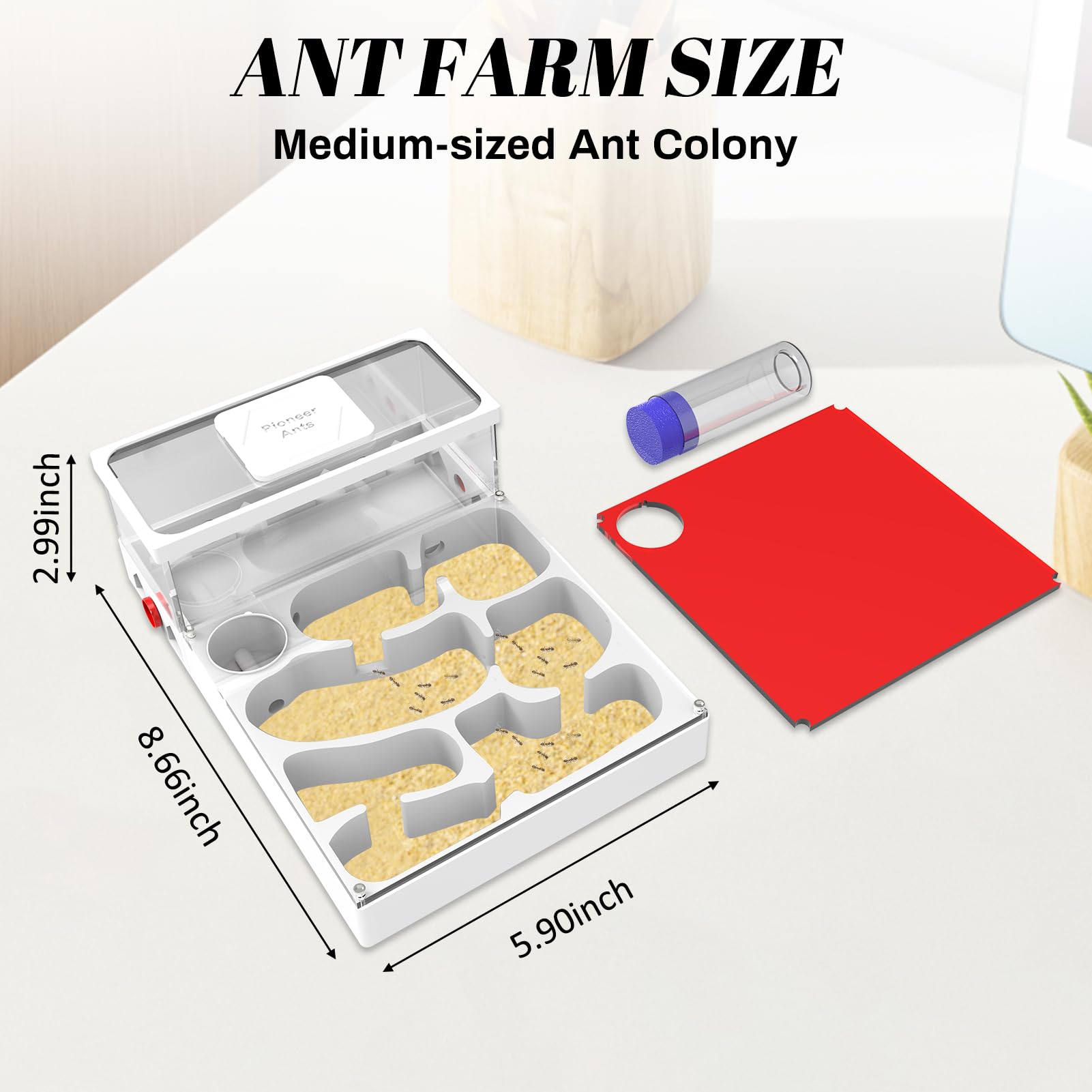 Amazon.com: PioneerAnts Transparent Ant Habitat – 3D Printed Mini